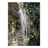 4月の朝 フォトプリント            (正面)