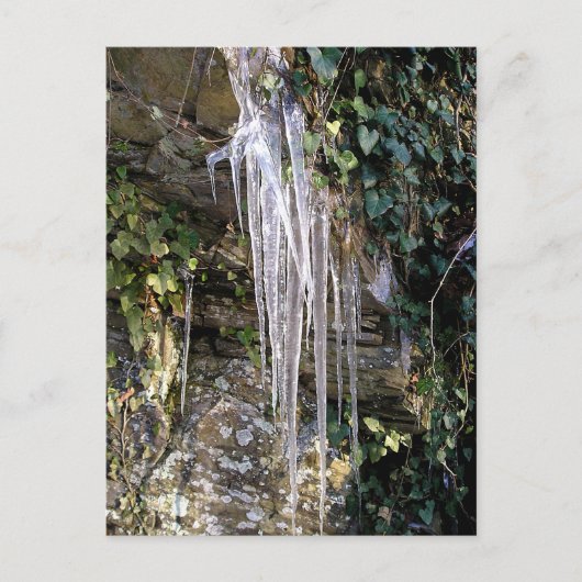 4月の朝 ポストカード (正面)