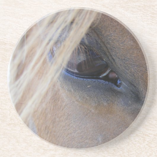 4月の目 コースター (正面)