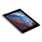 4月の空とピリピ4:4 ノートブック (右側)