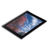 4月の空とピリピ4:4 ノートブック (左側)