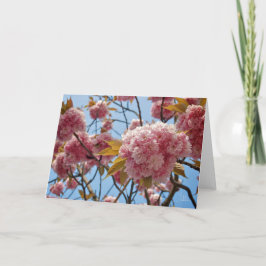 4月の花[グリーティングカード] カード