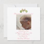 4月の蝶の誕生のお知らせ 案内状 (裏面)