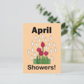 4月の雨に咲くピンクのデイジーの花 フローラル ポストカード (スタンド正面)