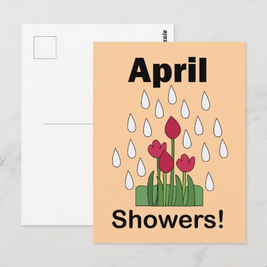 4月の雨に咲くピンクのデイジーの花 フローラル ポストカード (正面/裏面)
