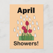 4月の雨に咲くピンクのデイジーの花 フローラル ポストカード (正面)