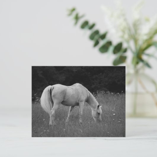 4月アラビア人 ポストカード (スタンド正面)