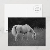 4月アラビア人 ポストカード (正面/裏面)