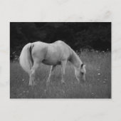 4月アラビア人 ポストカード (正面)