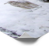 4月雪の羊 ポスター (角)