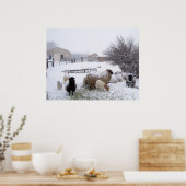 4月雪の羊 ポスター (キッチン)