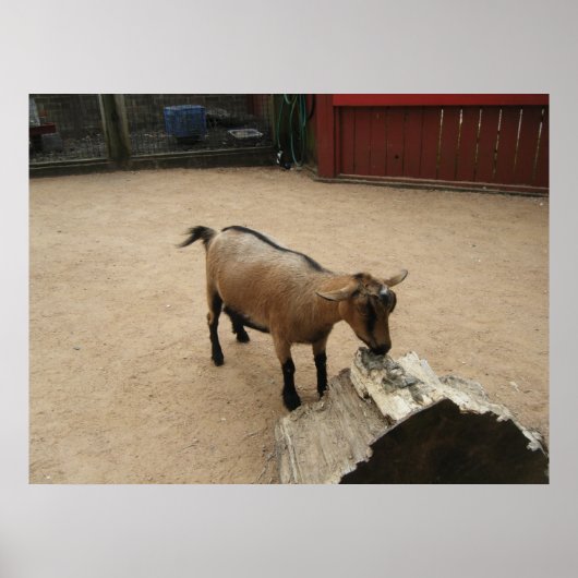 4月3日（11日）キャンバス ポスター (正面)