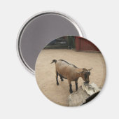 4月3日（11日）磁石 マグネット (正面/裏面)