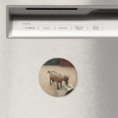 4月3日（11日）磁石 マグネット (インサイチュ (食洗機))