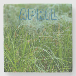 4月 ストーンコースター