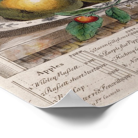 4月， '12ヶ月の果実' ポスター (角)