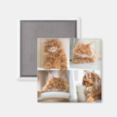 4枚のフォトコラージュ（フル） マグネット (正面/裏面)