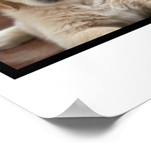 4枚のフォトドッグコラージュカスタマイズを作成する ポスター (角)