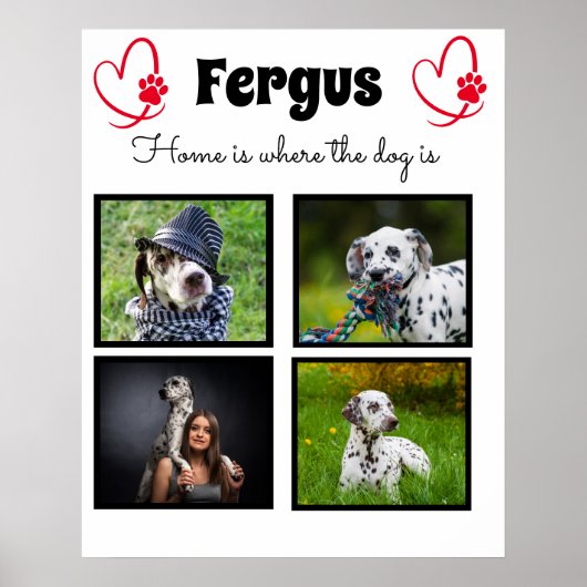 4枚の写真のコラージュ - オーダーメイドのペット家族の思い出 ポスター (正面)