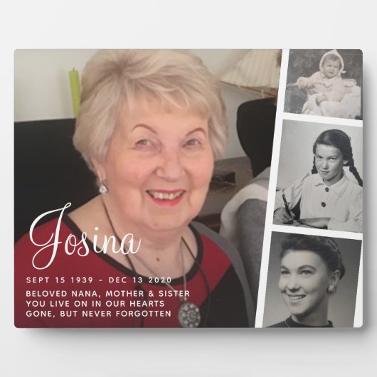 4枚の写真記念碑 フォトプラーク (正面)