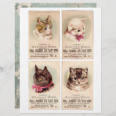 4枚の本物(AIではない)のトレードカード・ Helena Maguire (正面/裏面)