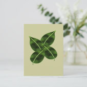 4枚葉のポスカード ポストカード (スタンド正面)