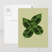 4枚葉のポスカード ポストカード (正面/裏面)