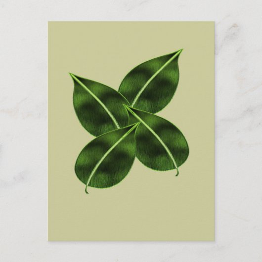 4枚葉のポスカード ポストカード (正面)