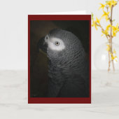 4灰色のオウム カード (黄色い花)
