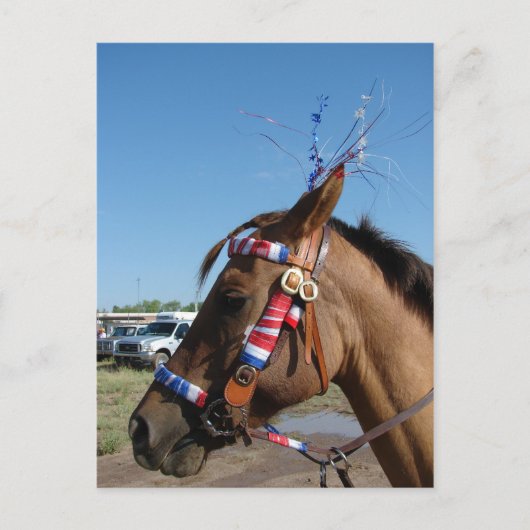 4番目の馬 ポストカード (正面)