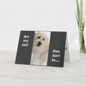 「4番目」の誕生日は、まだボ遊ールが可能 カード (正面)