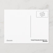 4私の愛 ポストカード (裏面)