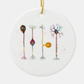 4種類のニューロン セラミックオーナメント (正面)