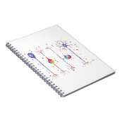 4種類のニューロン ノートブック (右側)