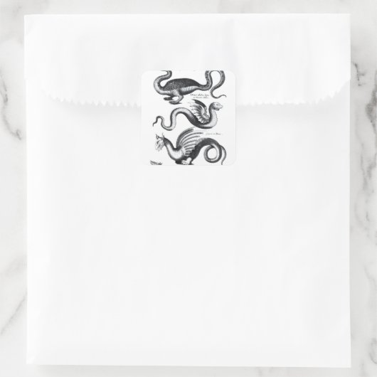 4種類の竜 スクエアシール (バッグ)