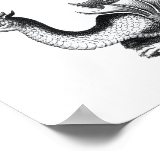 4種類の竜 ポスター (角)