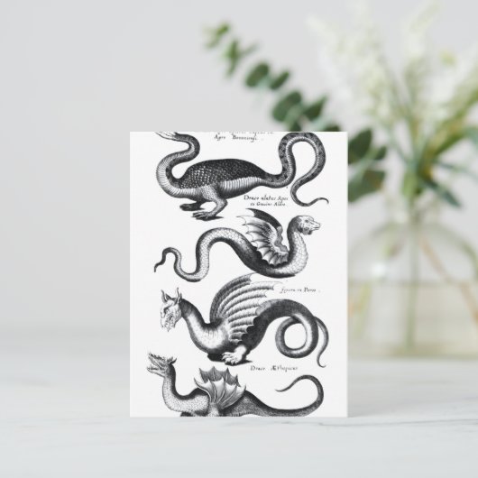 4種類の竜 ポストカード (スタンド正面)