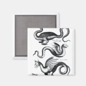 4種類の竜 マグネット (正面/裏面)