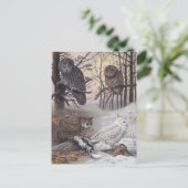 4種類のOwlsヴィンテージイラストレーション ポストカード (スタンド正面)