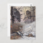 4種類のOwlsヴィンテージイラストレーション ポストカード (正面/裏面)
