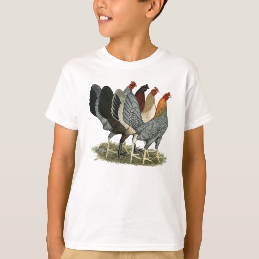 4羽のゲームファウル雌鶏 Tシャツ (正面)