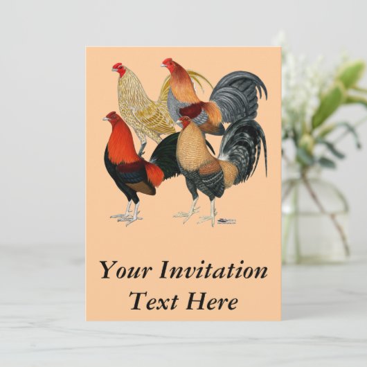4羽の闘鶏 招待状 (スタンド正面)