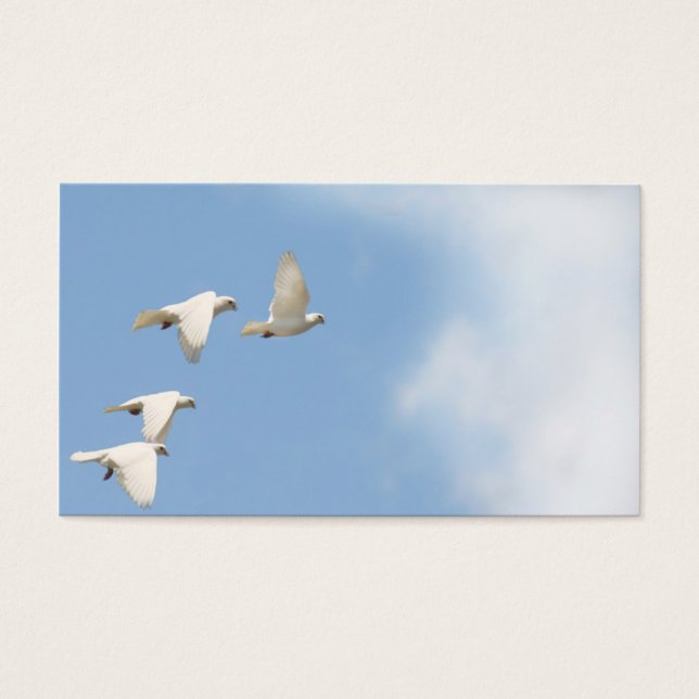 4羽の飛んでいるな鳩 (正面)