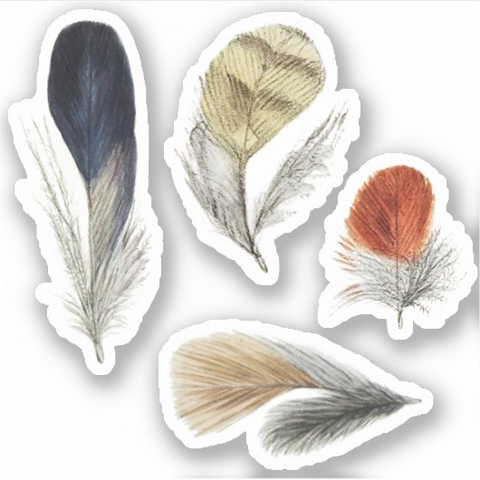 4羽の鳥 シール (正面)