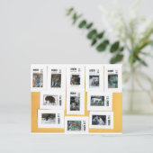 4色の虎 ポストカード (スタンド正面)