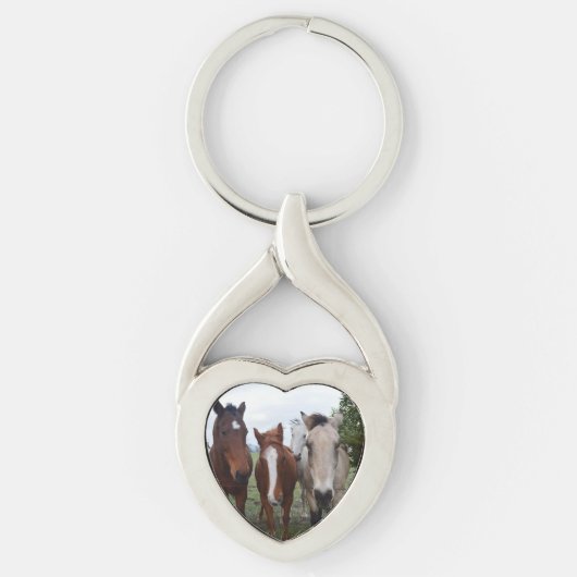 4色違う馬、キーリング キーホルダー (正面)
