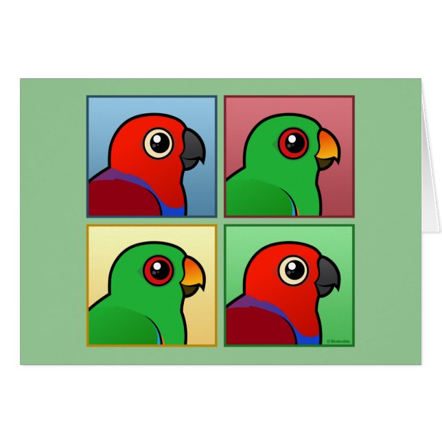 4色Eclectus (正面横)