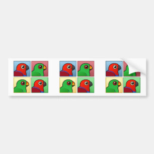 4色Eclectus バンパーステッカー