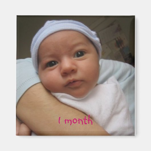 4週間， 1か月 マグネット (正面)