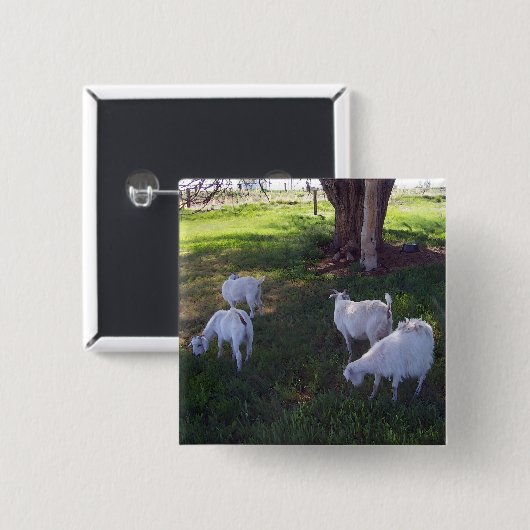 4頭のヤギ 缶バッジ (正面&裏面)